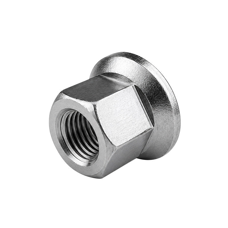 5/16 inch Track Nuts (2)