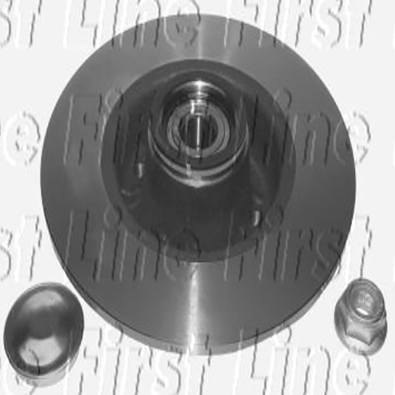 FBK1074 Rear Wheel Bearing Kit