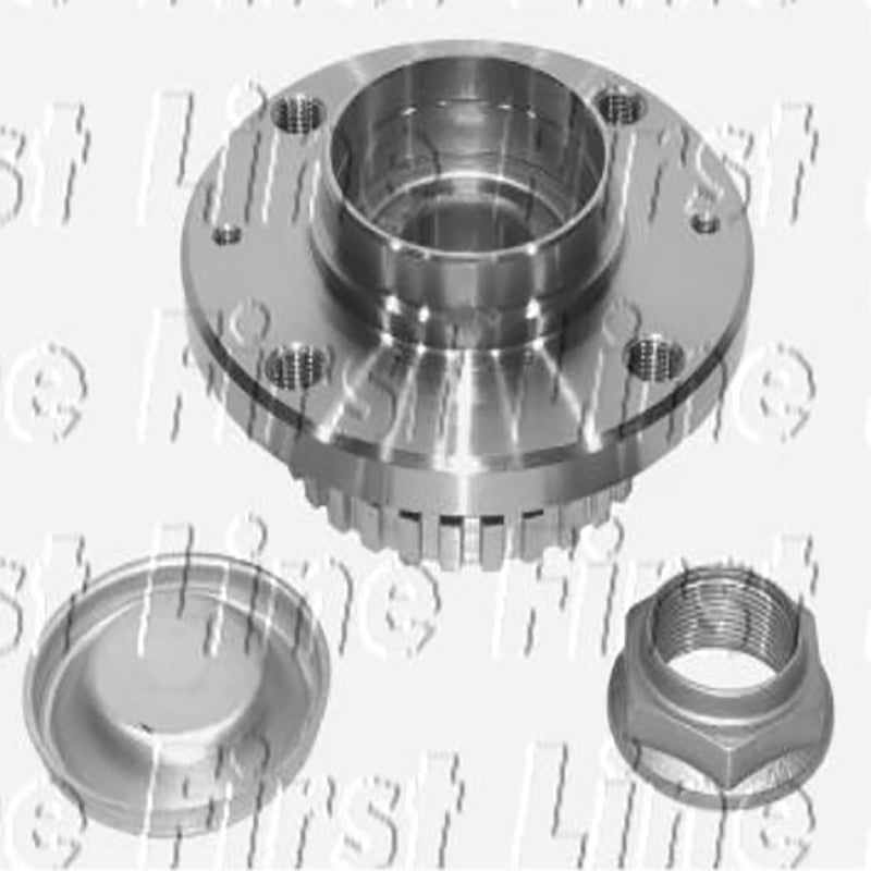 FBK789 Rear Wheel Bearing Kit