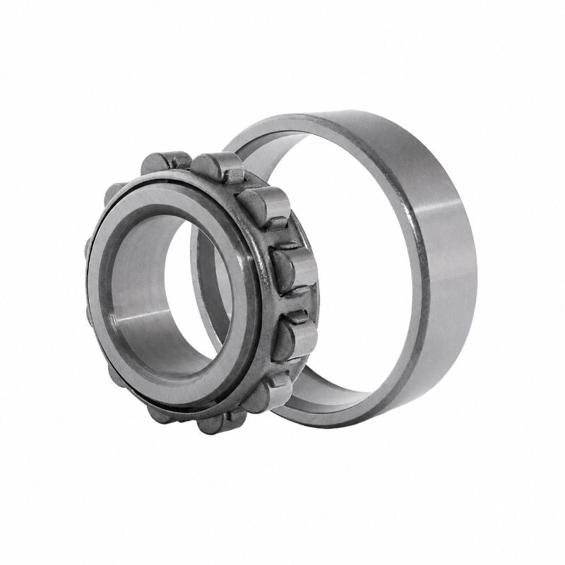 N313-E-TVP2 X-life Cylindrical Roller Bearing with Cage 65x140x33mm