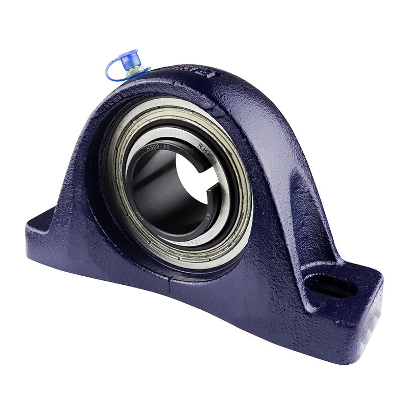 RHP NP1025K Two Bolt Cast Iron Pillow Block and 3/4 Bore and Taper Bore Insert (No Sleeve)