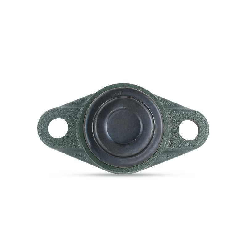 NTN M-SM-UCFL206-101D1 Imperial Two Bolt Oval Cast Iron Flange Housing with 1-1/16 inch Bore Insert with Steel Plate Cover - Closed Version - Allow 2-3 Days