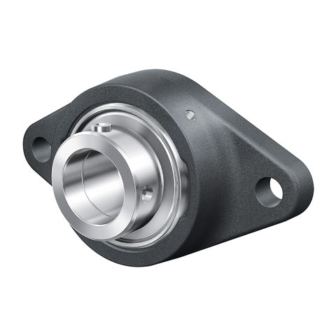 INA RCJT17XL Two Bolt Cast Iron Oval Housing with Eccentric Collar Insert 17mm Bore