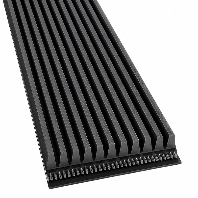 Major Brand 813PJ/320J Poly V Multiple Ribbed Belt 813mm/32 inch Length with 11 Ribs