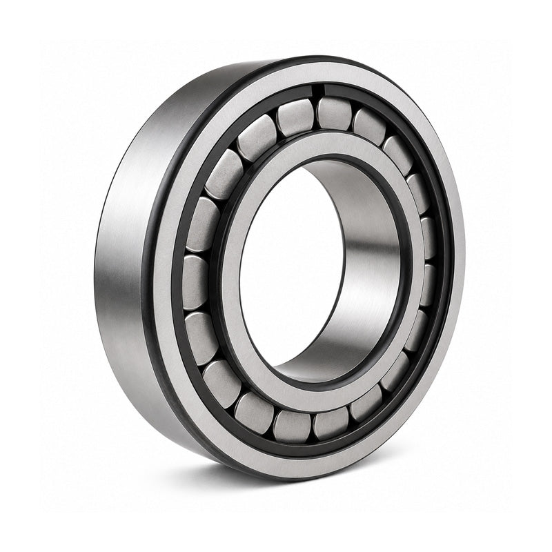SL192319-TB-C3 X-life Single Row Full Complement Cylindrical Roller Bearing 95x200x67mm