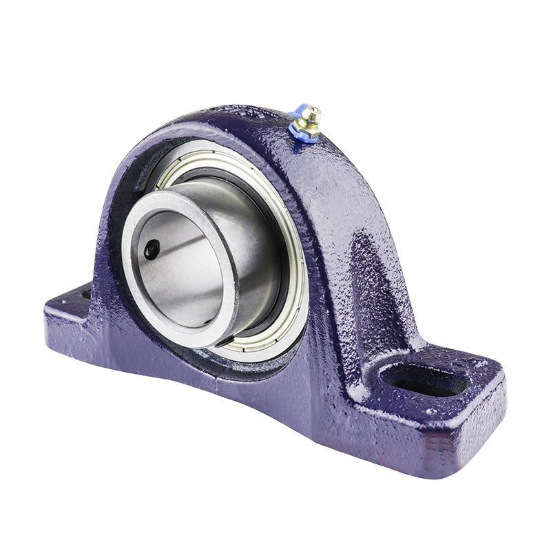 RHP SL1-5/8DEC Two Bolt Cast Iron Pillow Block and 1-5/8 Bore Eccentric Collar Full Width Insert